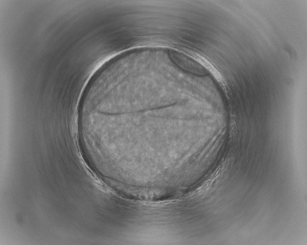 X0000115450996200912021002