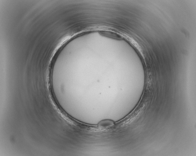 X0000115450997200912021002