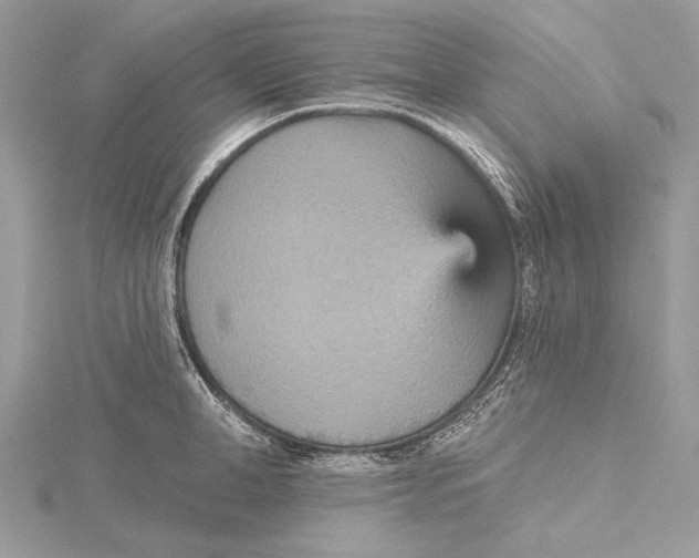 X0000115450998200912021002