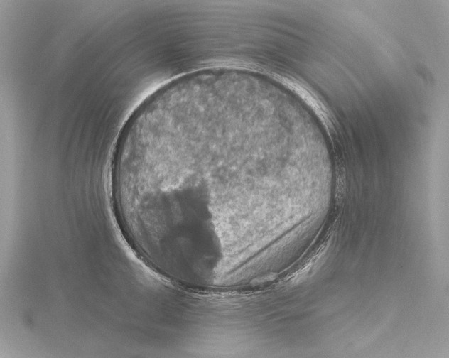 X0000115450999200912021002