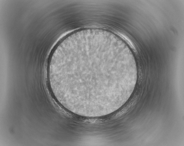 X0000115451000200912021002