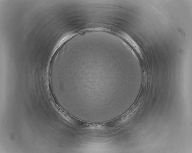 X0000115451002200912021002