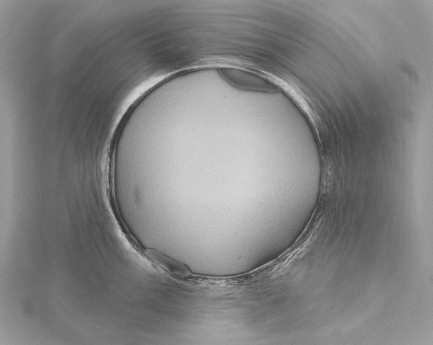 X0000115451003200912021002