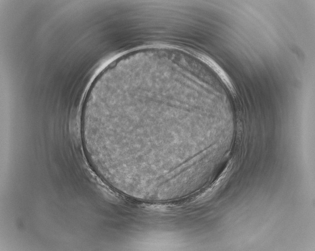 X0000115451004200912021002