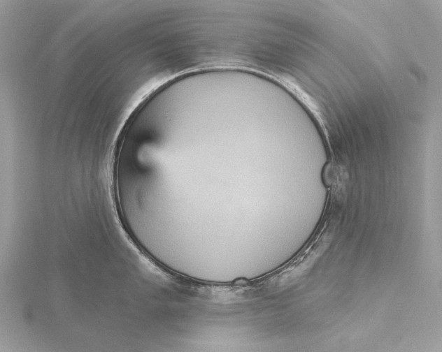 X0000115451005200912021002