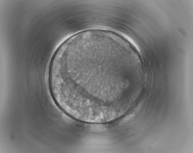 X0000115451007200912021002