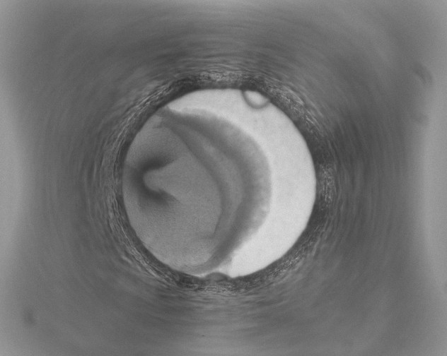 X0000115451009200912021001