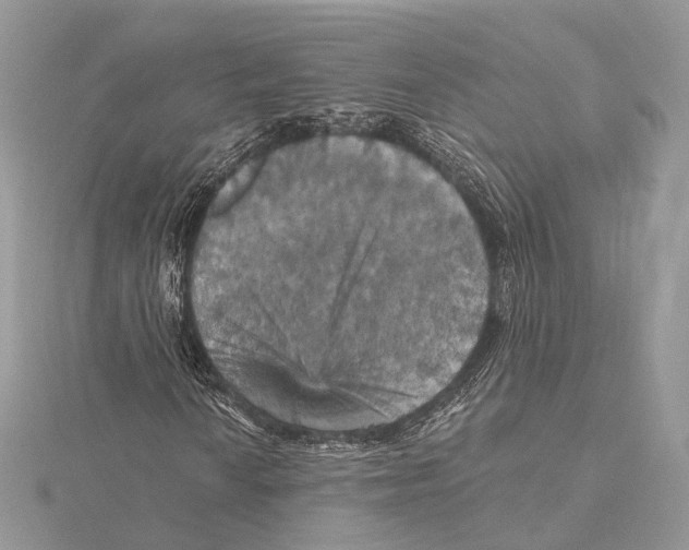 X0000115451010200912021001