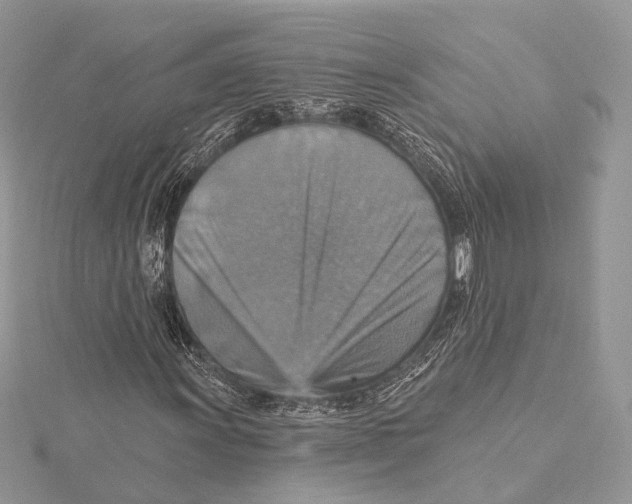 X0000115451011200912021001