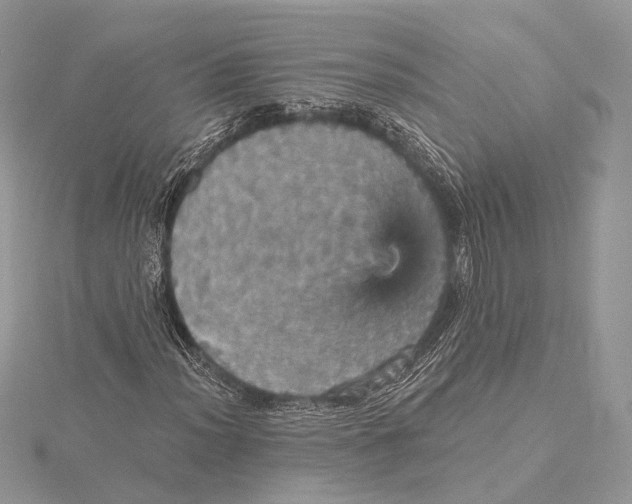 X0000115451012200912021001