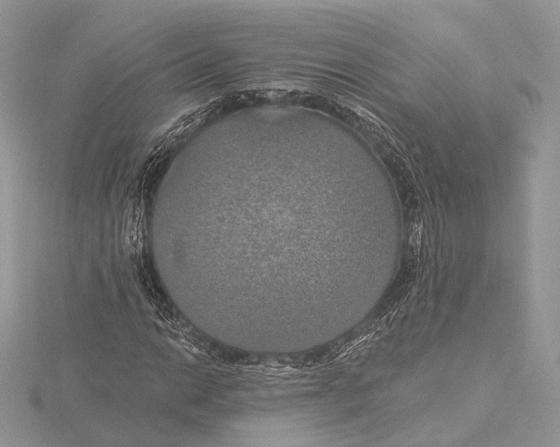 X0000115451014200912021001