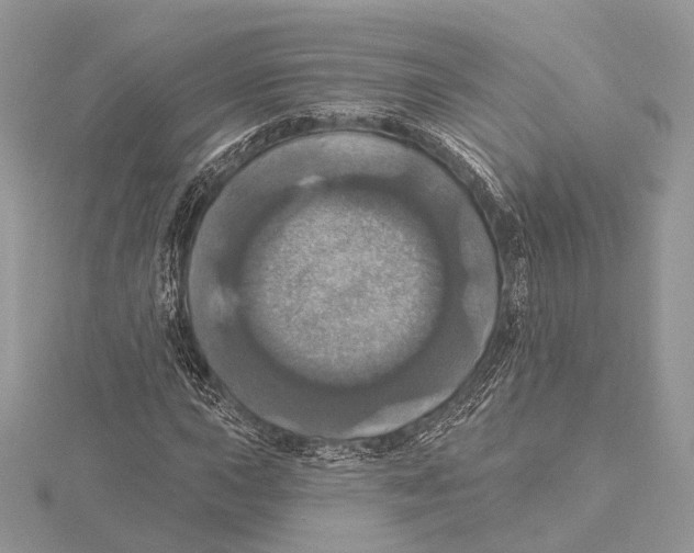 X0000115451015200912021001