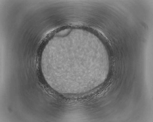 X0000115451016200912021001