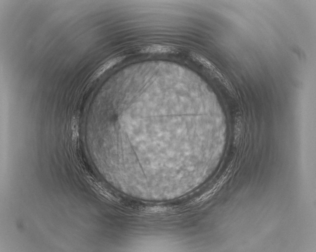 X0000115451017200912021001