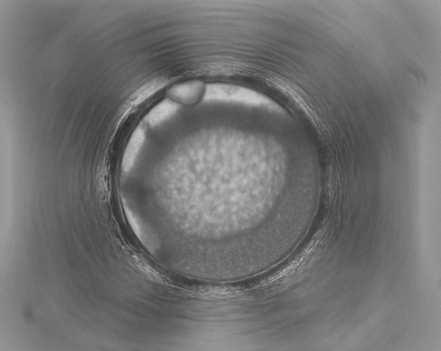 X0000115451018200912021001