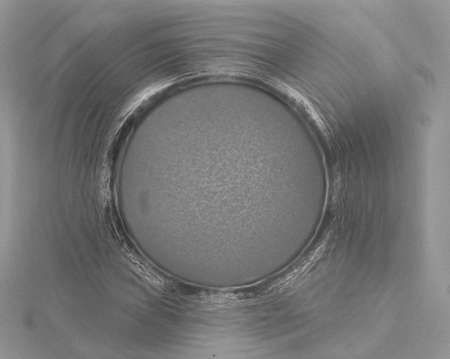 X0000115451019200912021001