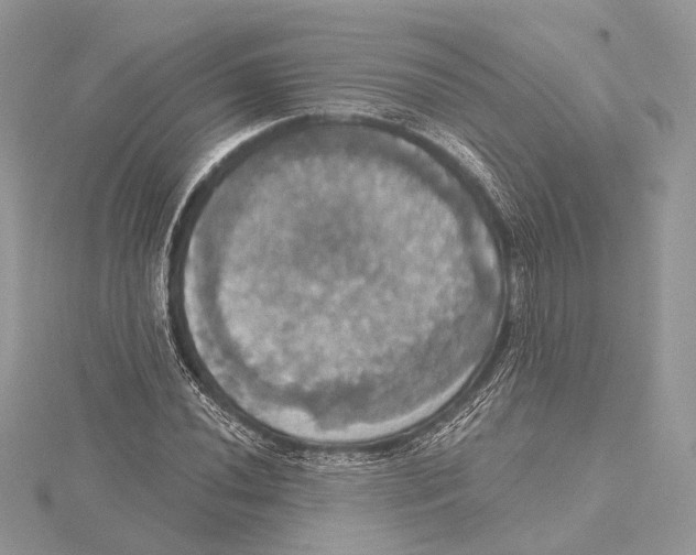 X0000115451020200912021001