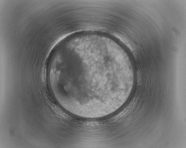 X0000115451021200912021001