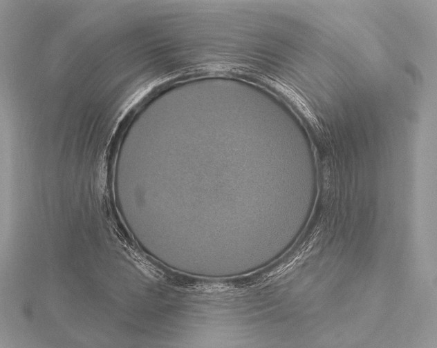 X0000115451023200912021001