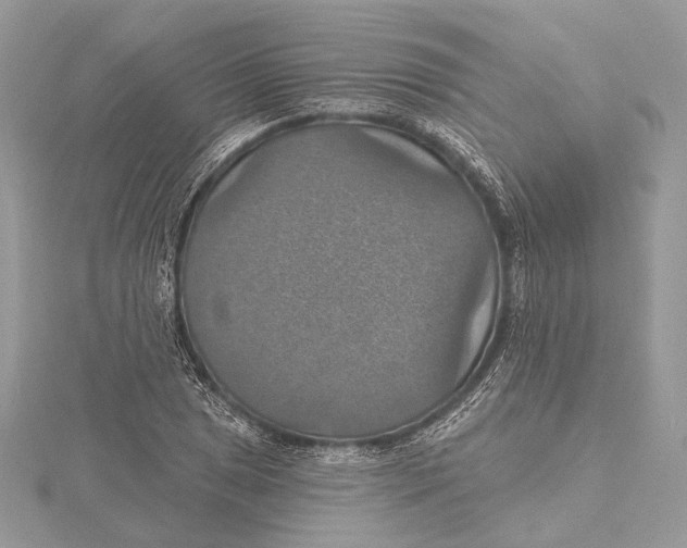 X0000115451025200912021001