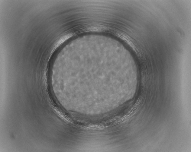 X0000115451026200912021001