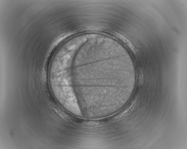 X0000115451027200912021001