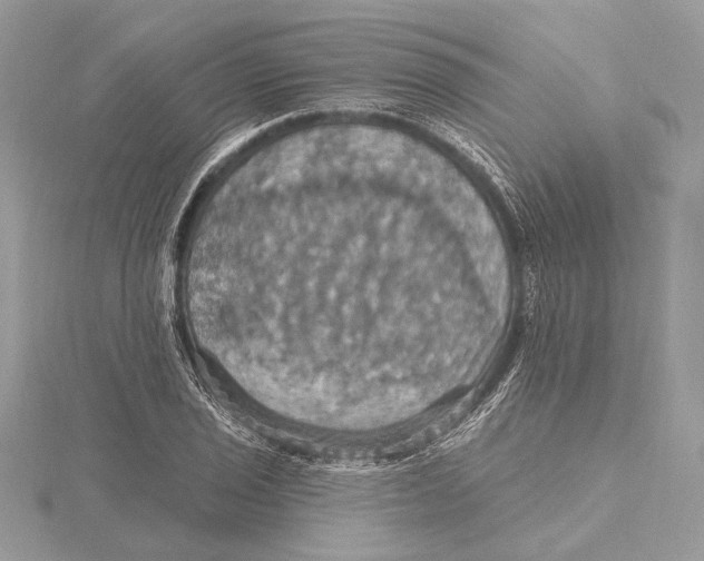 X0000115451029200912021001