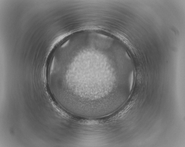 X0000115451030200912021001