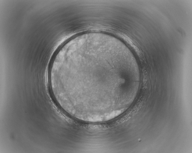 X0000115451032200912021001