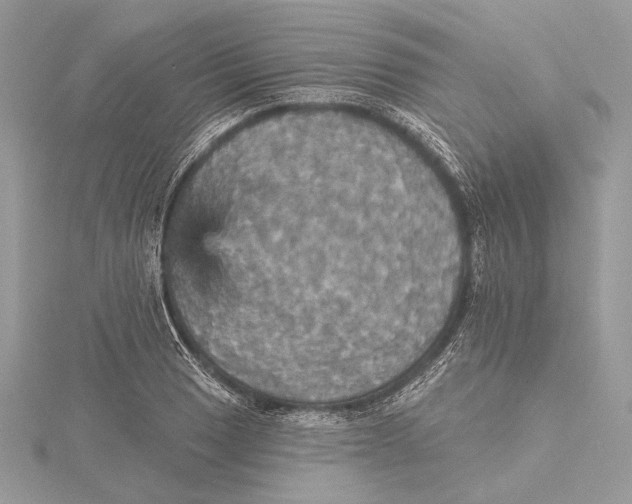 X0000115451033200912021001