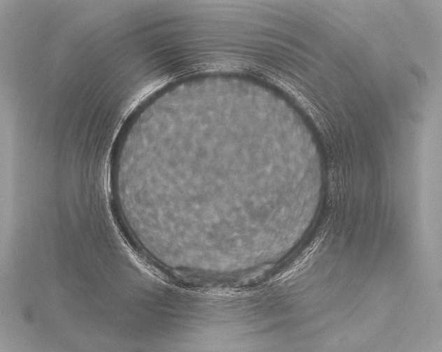 X0000115451034200912021002