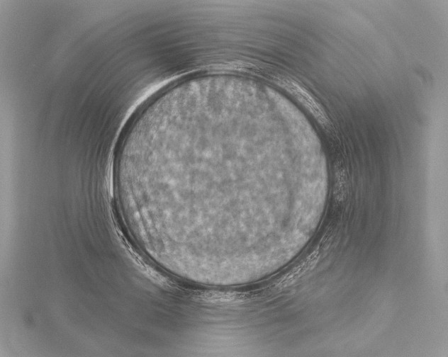 X0000115451036200912021002