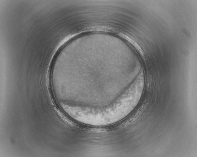 X0000115451037200912021002