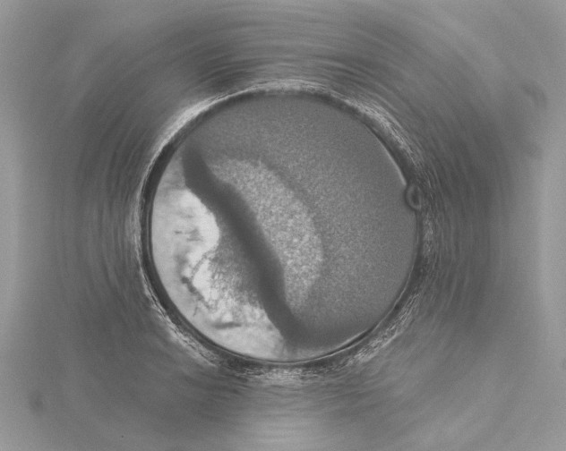 X0000115451038200912021002