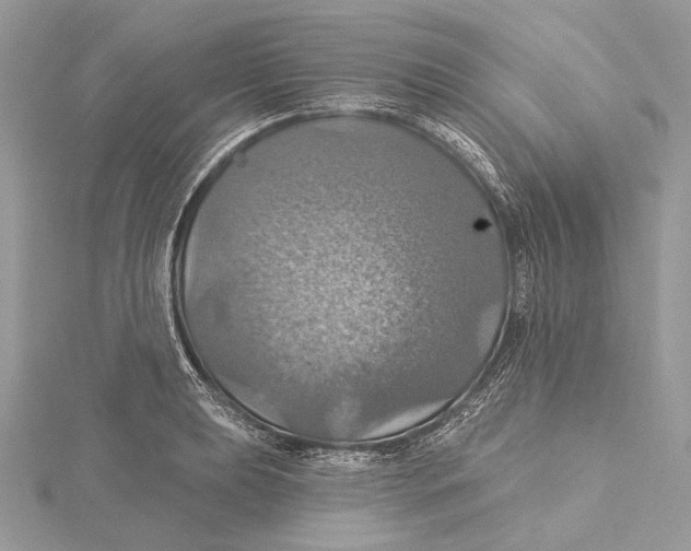 X0000115451039200912021002