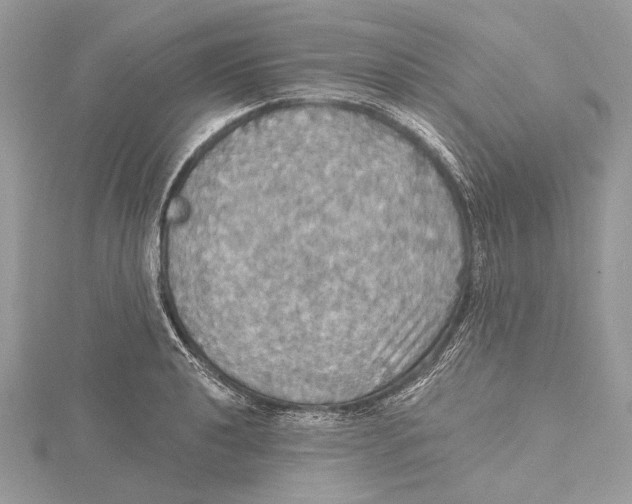 X0000115451040200912021002