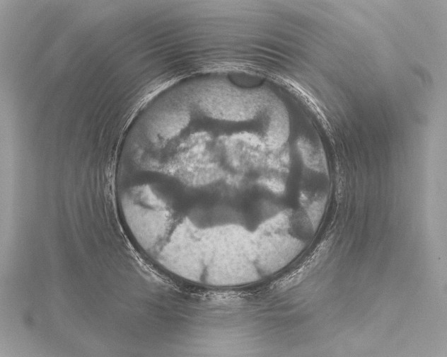 X0000115451041200912021002