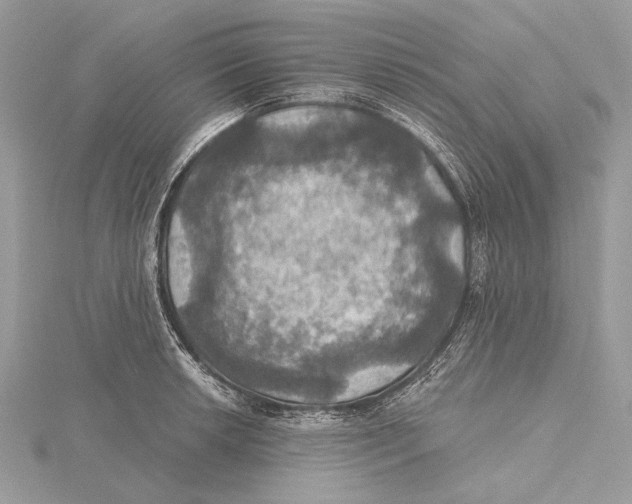 X0000115451042200912021002