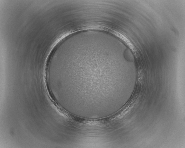 X0000115451043200912021002