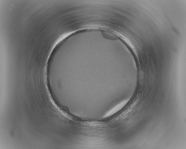 X0000115451045200912021002