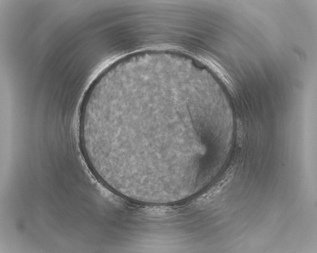 X0000115451046200912021002