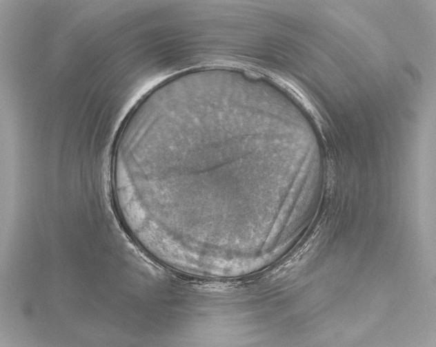 X0000115451048200912021002