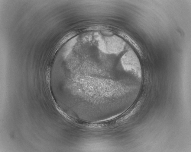 X0000115451049200912021002