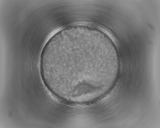 X0000115451050200912021002