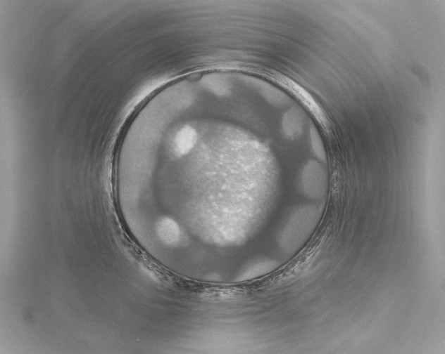 X0000115451051200912021002