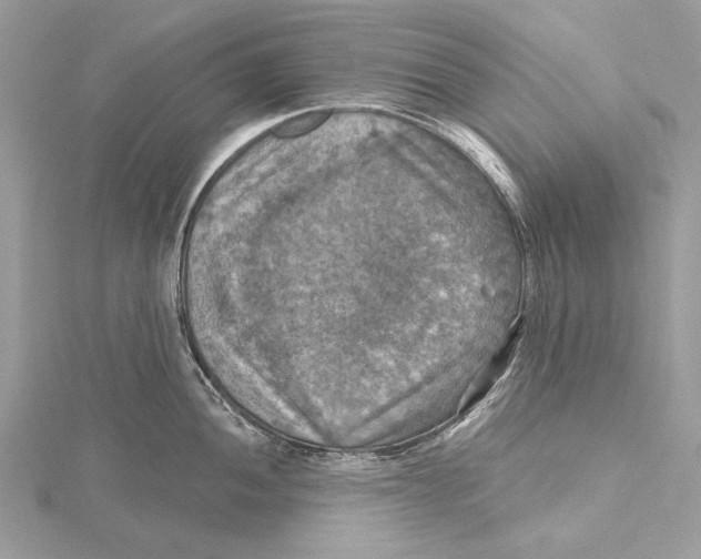 X0000115451052200912021002