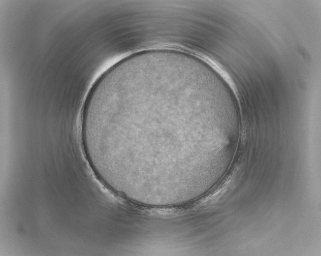 X0000115451053200912021002