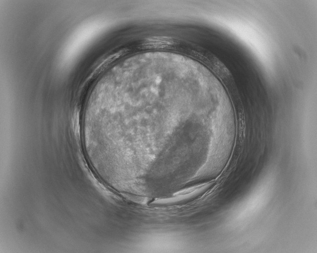 X0000115451054200912021002