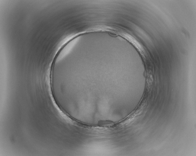 X0000115451055200912021002