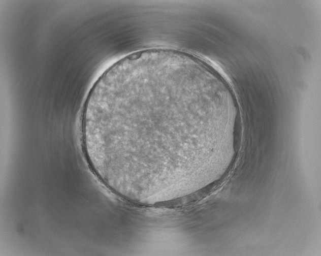 X0000115451056200912021002